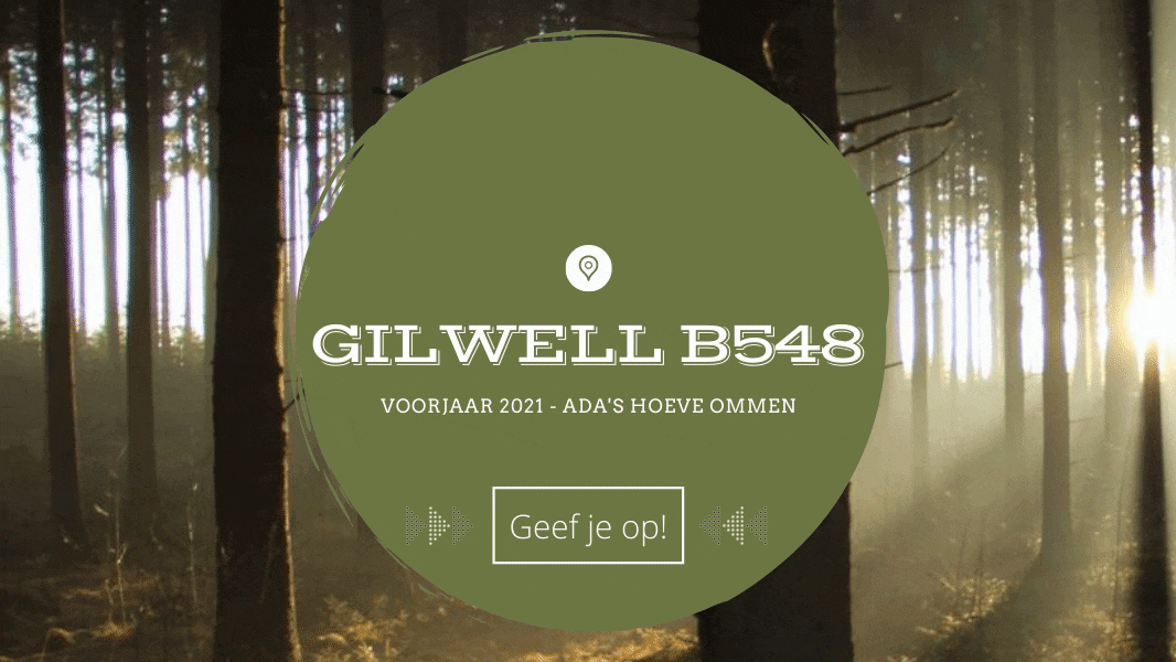 Gilwell B548